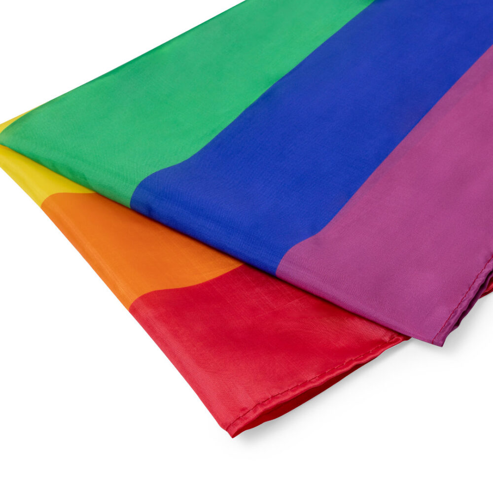 Bandera - CWE - Imagen 2