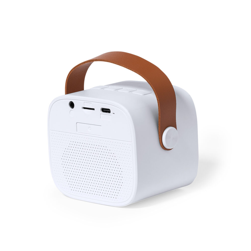 Altavoz Karaoke - BDZJ - Imagen 5