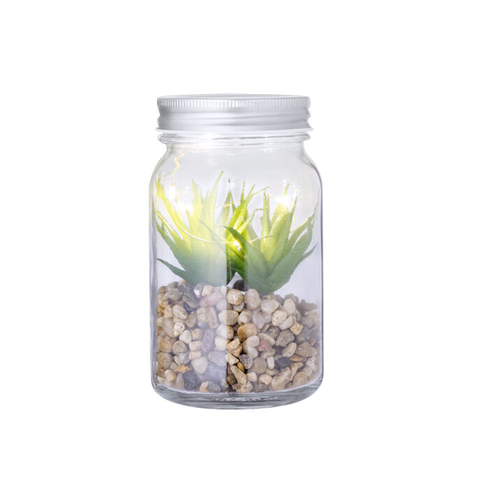 Planta Decorativa - BEMQ