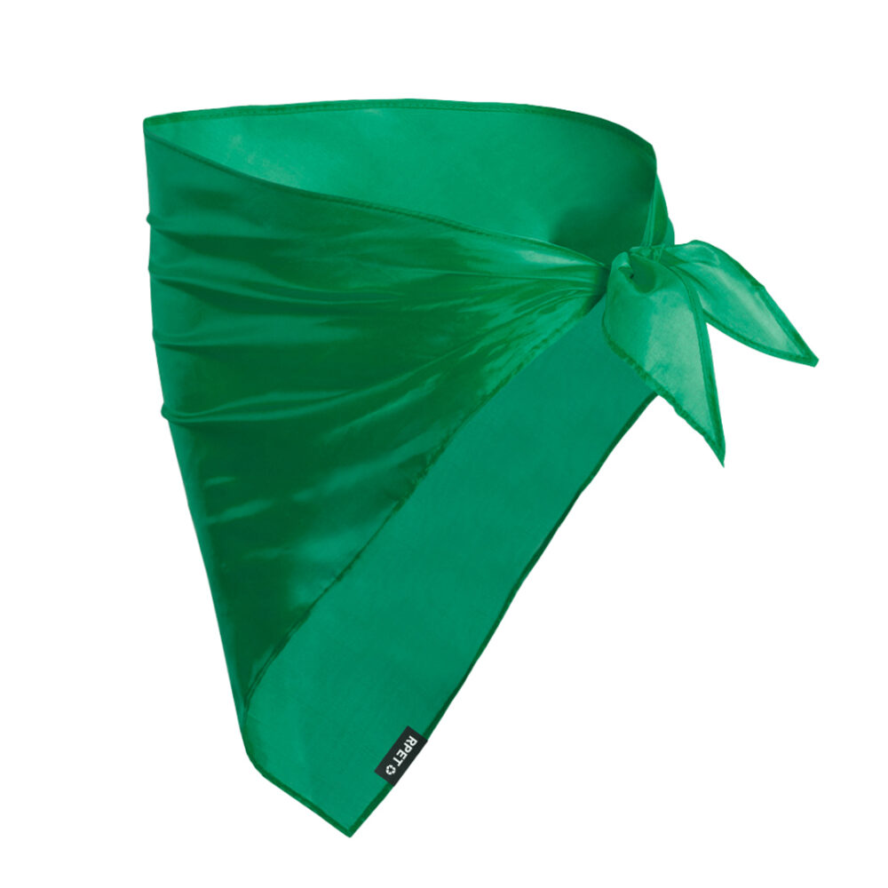 Pañoleta - BENR - Imagen 2