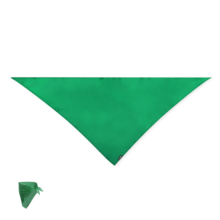 Pañoleta - BENR