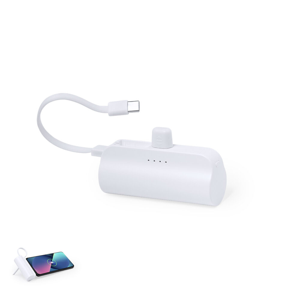 Power Bank - BFCP