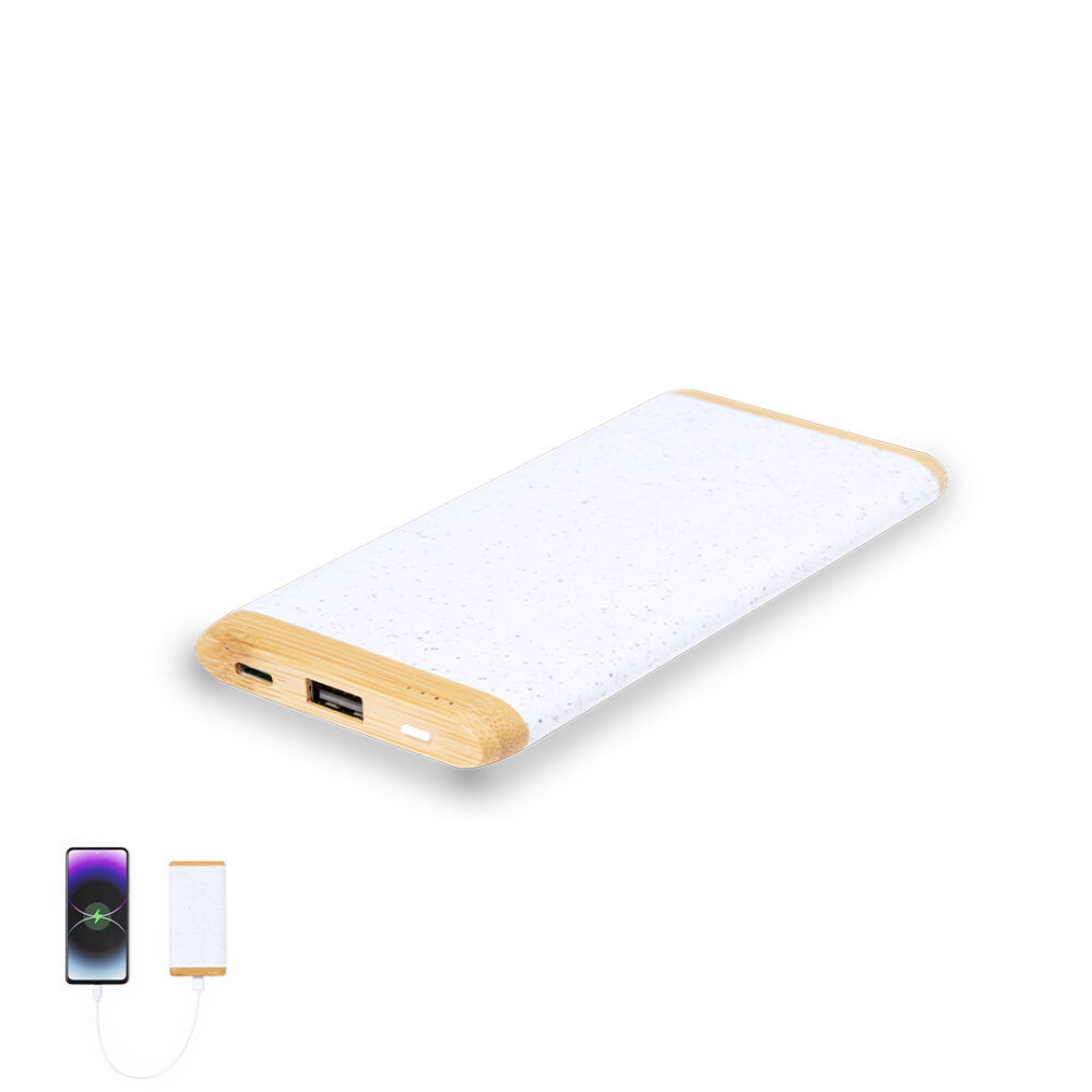 Power Bank - BFKD