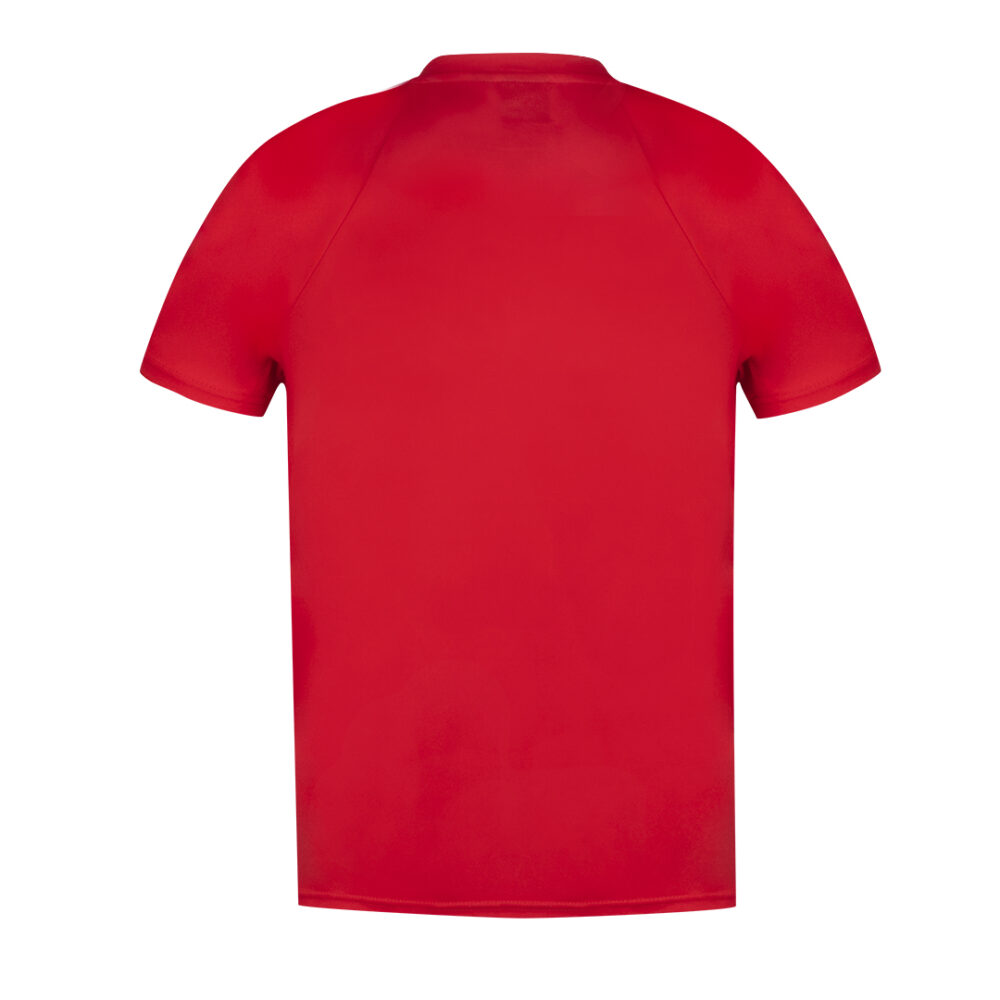 Camiseta Adulto - GEY - Imagen 2