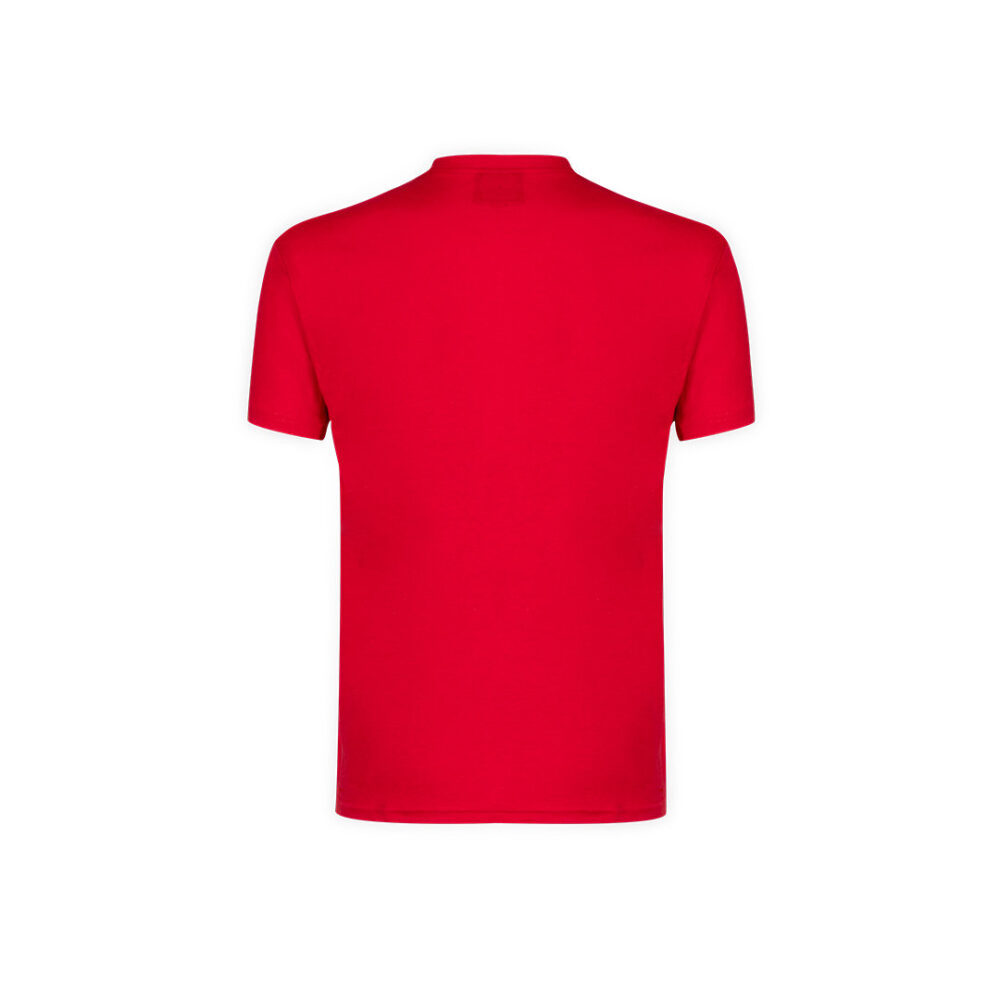 Camiseta Adulto Color - GQJ - Imagen 4