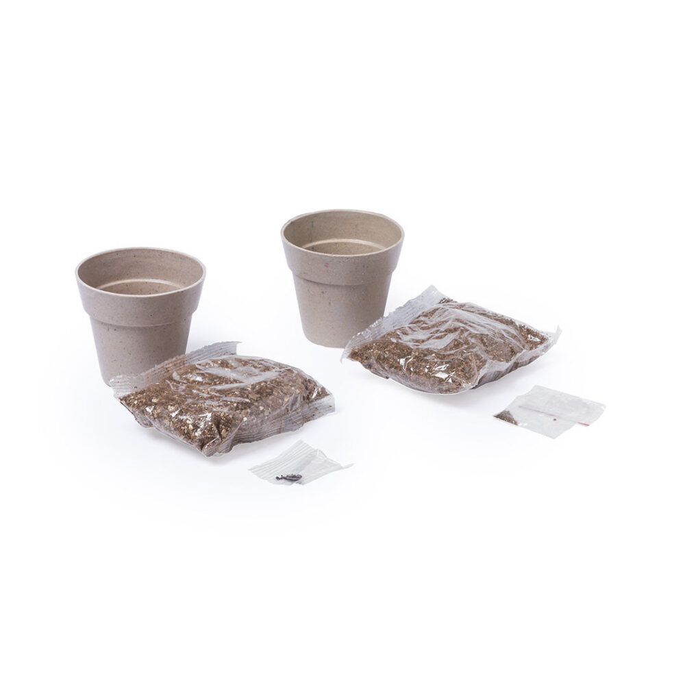 Set Macetas - HOR - Imagen 2