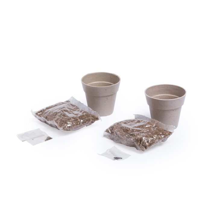 Set Macetas - HOR
