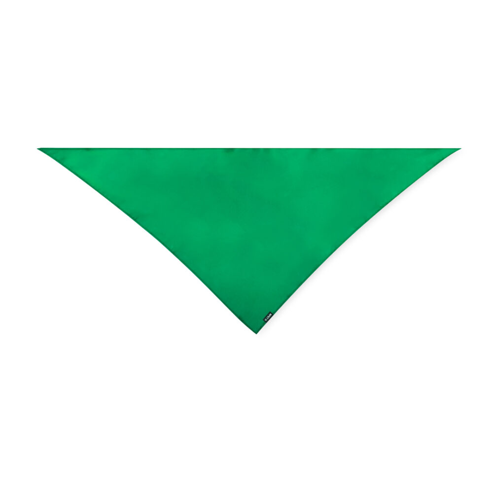 Pañoleta - BENR - Imagen 6
