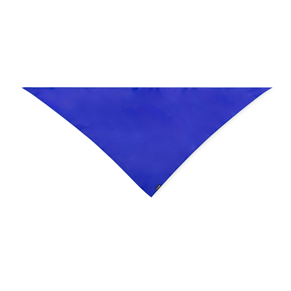 Pañoleta - BENR - Imagen 3