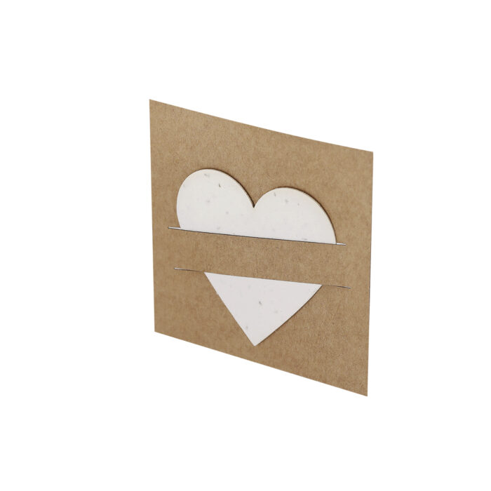 Papel Plantable - ECN